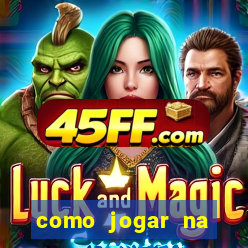 como jogar na seninha online